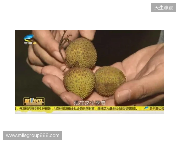 穆德里克因车窗贴膜颜色过深被拦下后，被发现禁驾期内驾驶